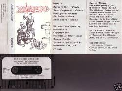 Demo 1991